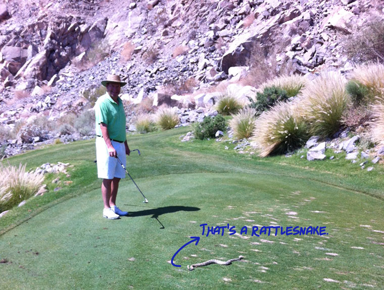 Ever run into a wild animal while you’re golfing? Classic Accessories